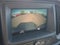 2021 Chevrolet Colorado Work Truck